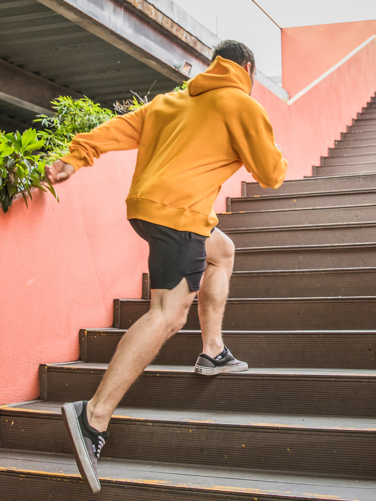 AMBER LOGO HOODIE